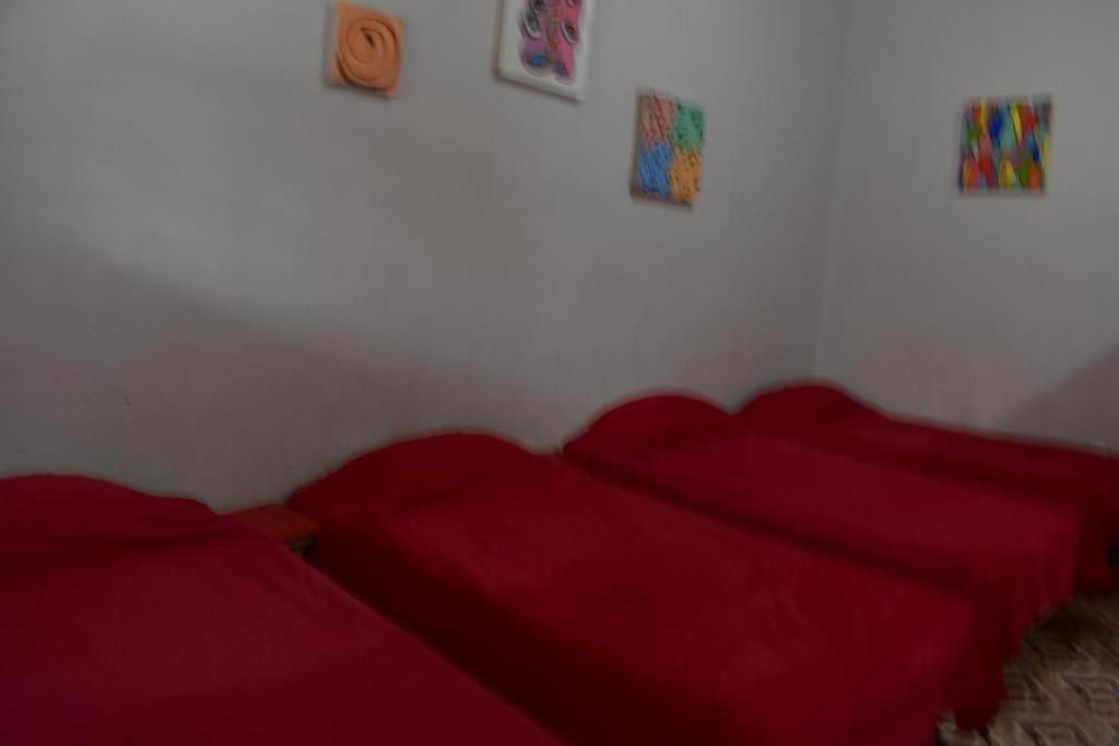 Casa Monad Bed & Breakfast San Cristobal de las Casas Bagian luar foto